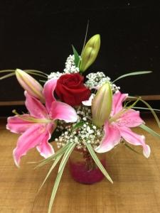 Red Rose Passion – ROY'S FLORIST, Winnipeg MB