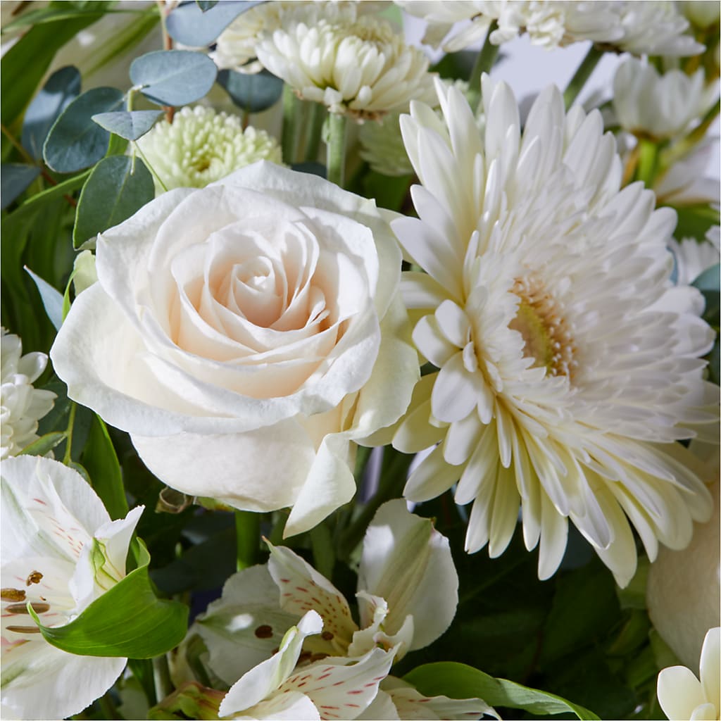 New Beginnings – A Florist Original – ROY'S FLORIST, Winnipeg MB