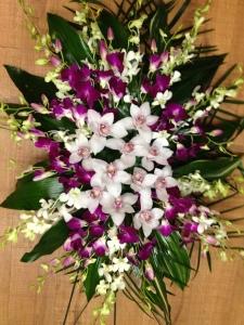 Orchid Spray
