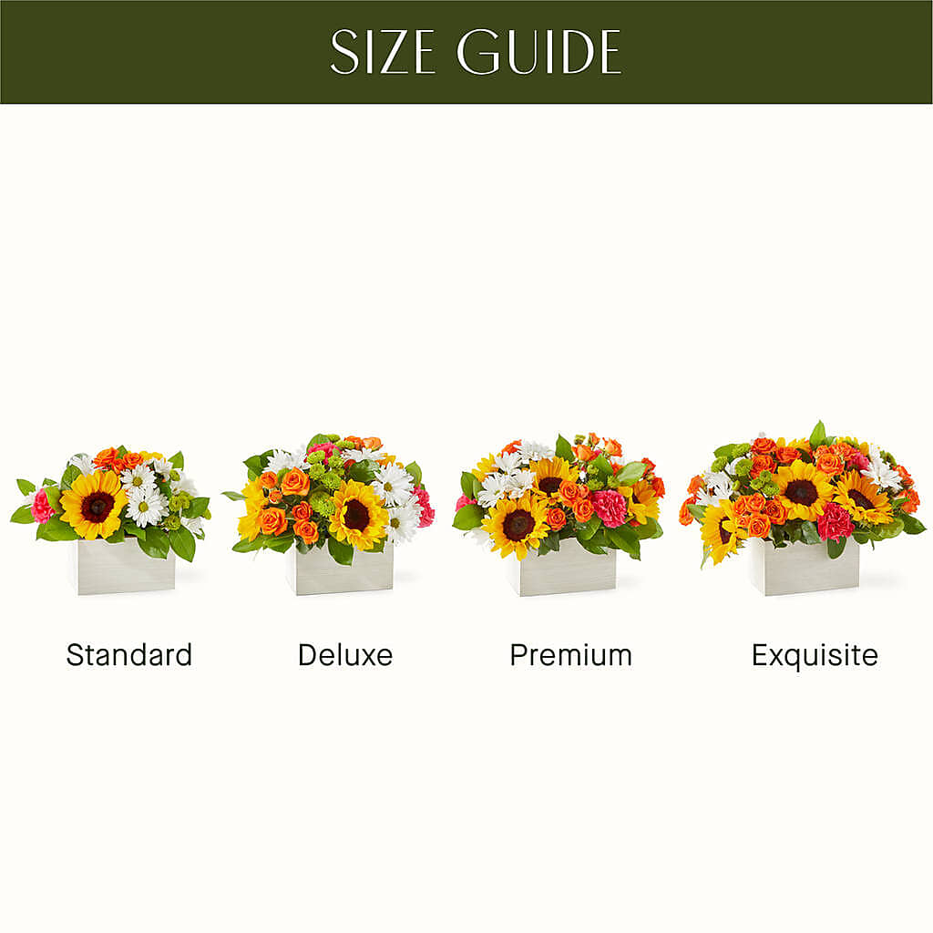 Sun-drenched Blooms Box Bouquet – ROY'S FLORIST, Winnipeg MB