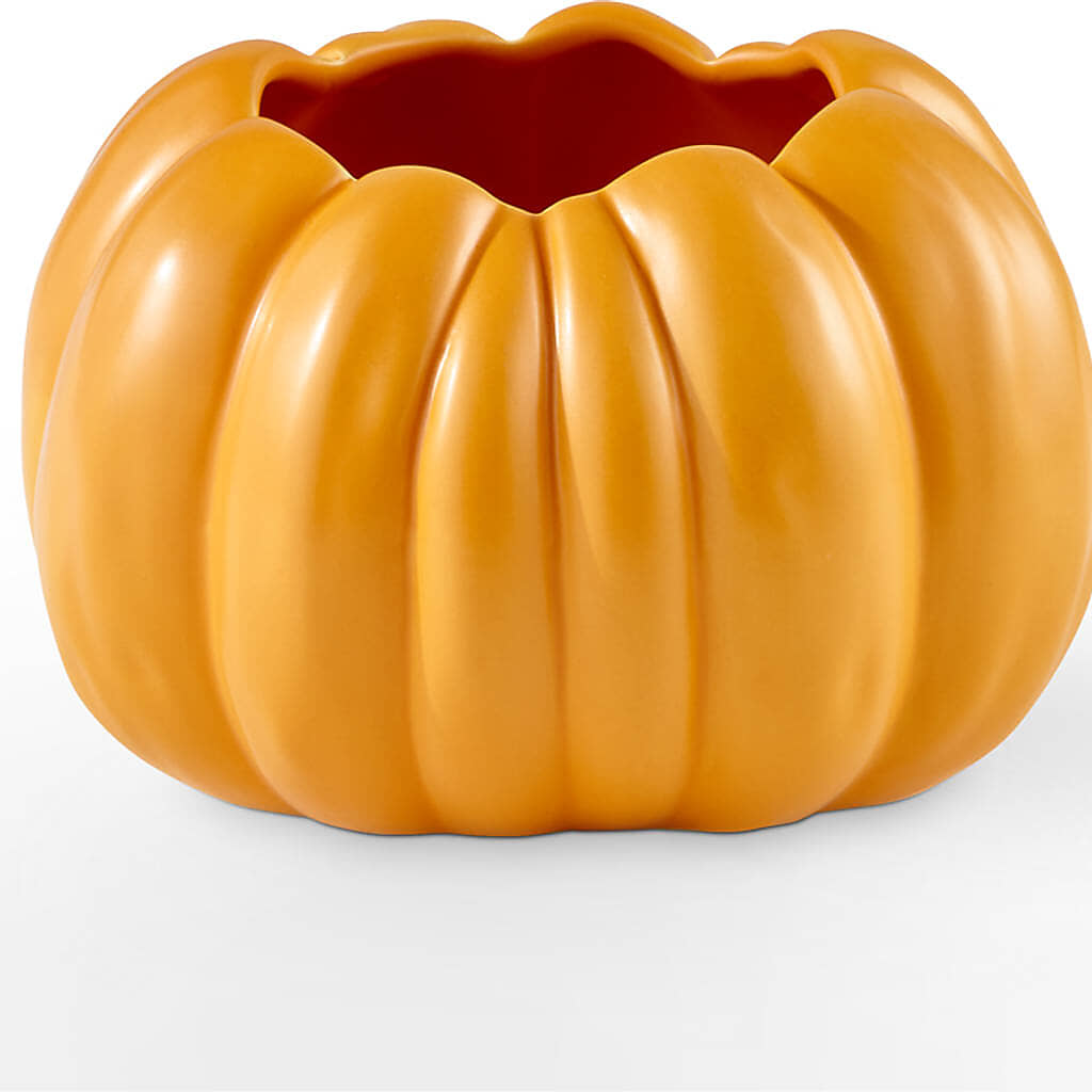 Golden Gourd Pumpkin Bouquet – ROY'S FLORIST, Winnipeg MB