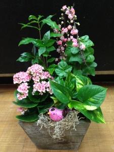 Mixed Planter – ROY'S FLORIST, Winnipeg MB