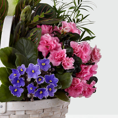 Peaceful Garden Planter – ROY'S FLORIST, Winnipeg MB