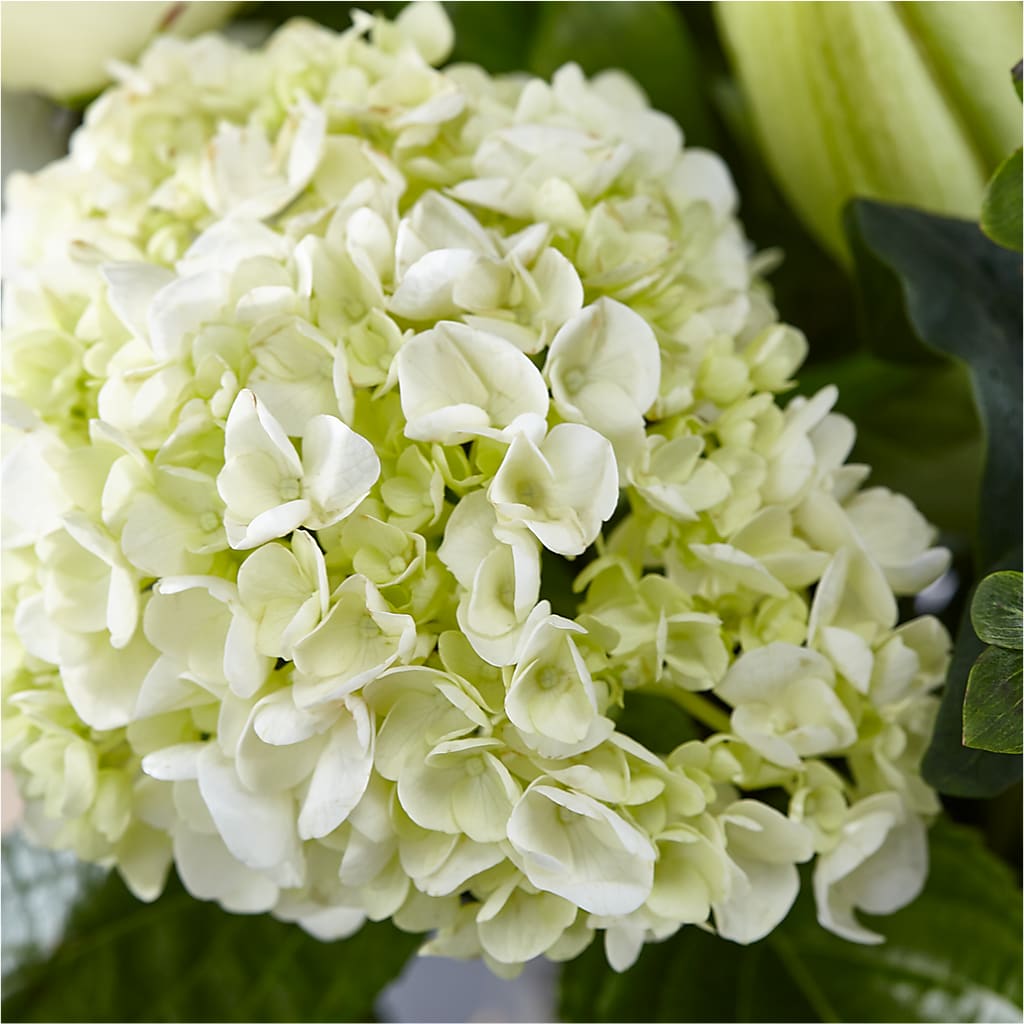 Classic Ivory – A Florist Original – ROY'S FLORIST, Winnipeg MB