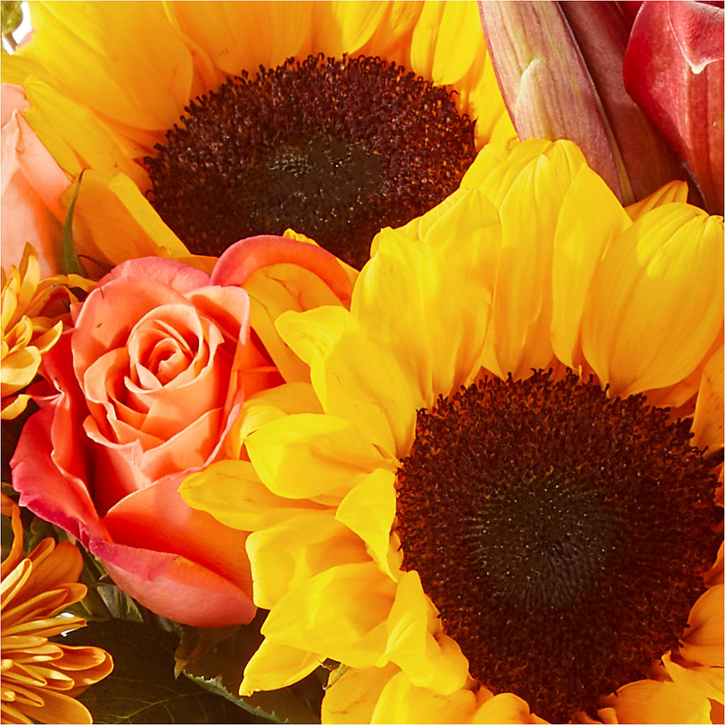 Acorn Lane Bouquet – ROY'S FLORIST, Winnipeg MB
