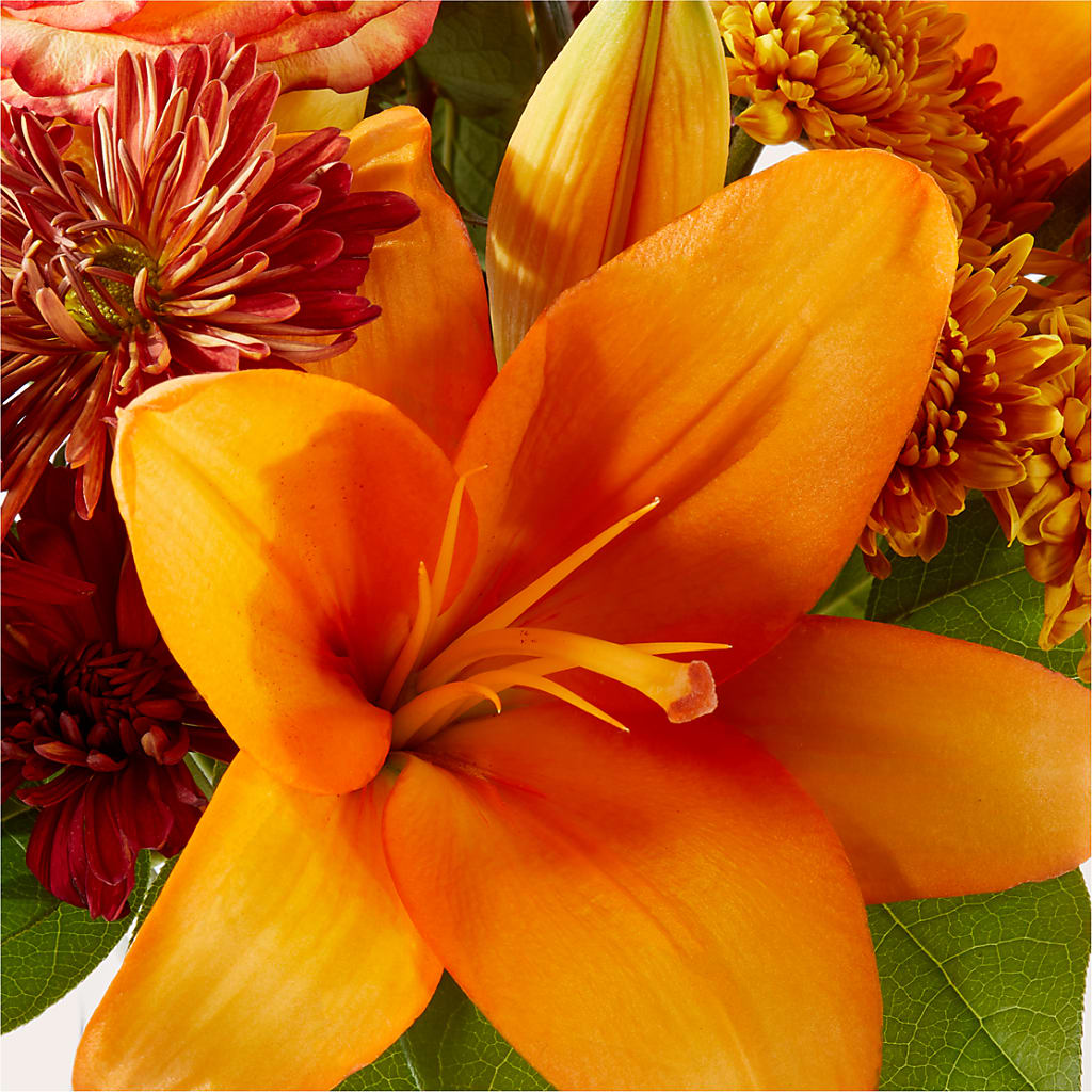 Autumnal Aroma Bouquet – ROY'S FLORIST, Winnipeg MB