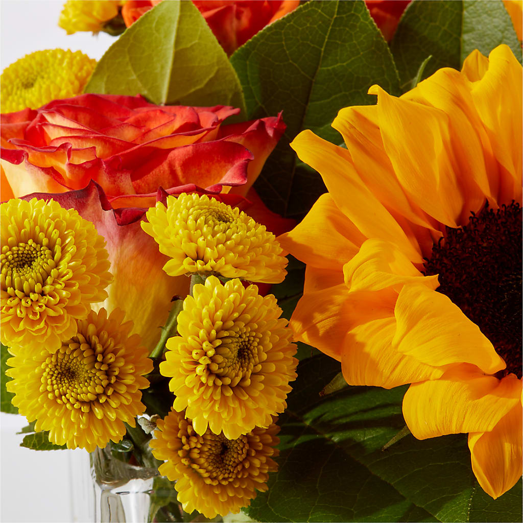 Picnic in the Park Bouquet – ROY'S FLORIST, Winnipeg MB