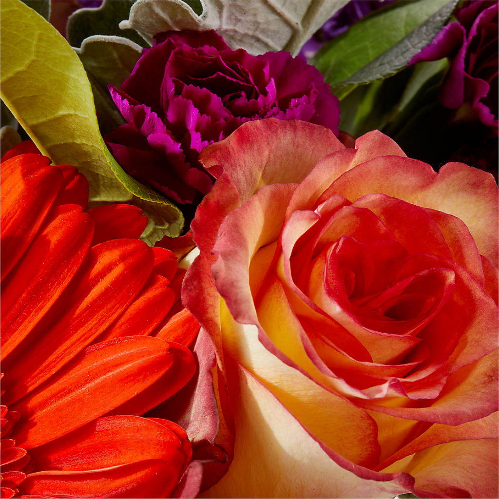 Sangria Bouquet – ROY'S FLORIST, Winnipeg MB