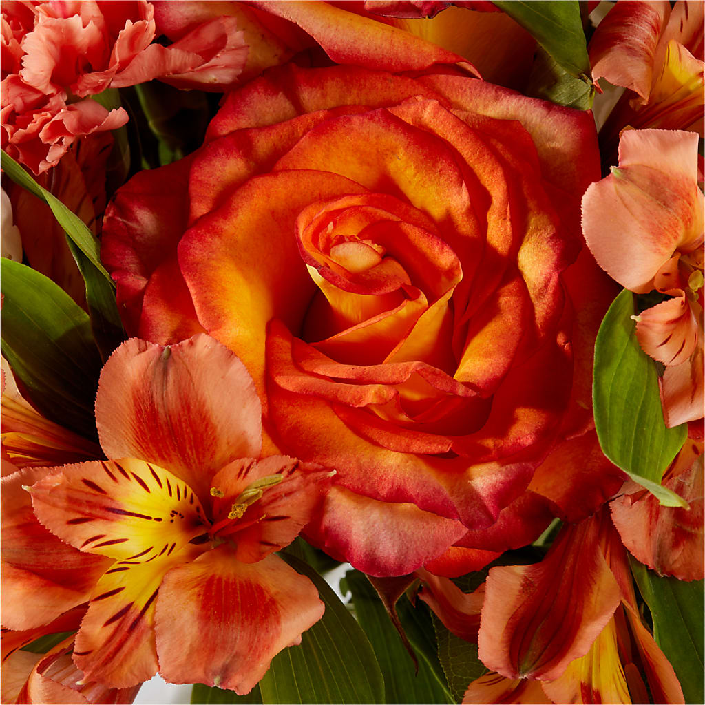 Apricot Glow Bouquet – ROY'S FLORIST, Winnipeg MB
