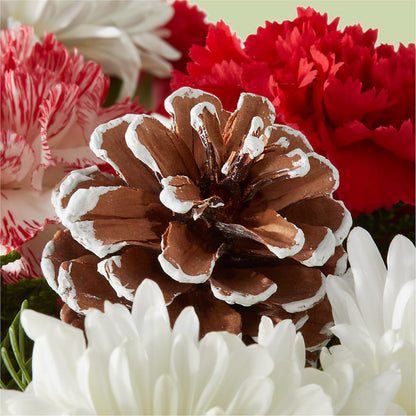 Candy Cane Lane Bouquet – ROY'S FLORIST, Winnipeg MB
