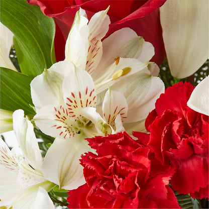 Holiday Season Bouquet – ROY'S FLORIST, Winnipeg MB
