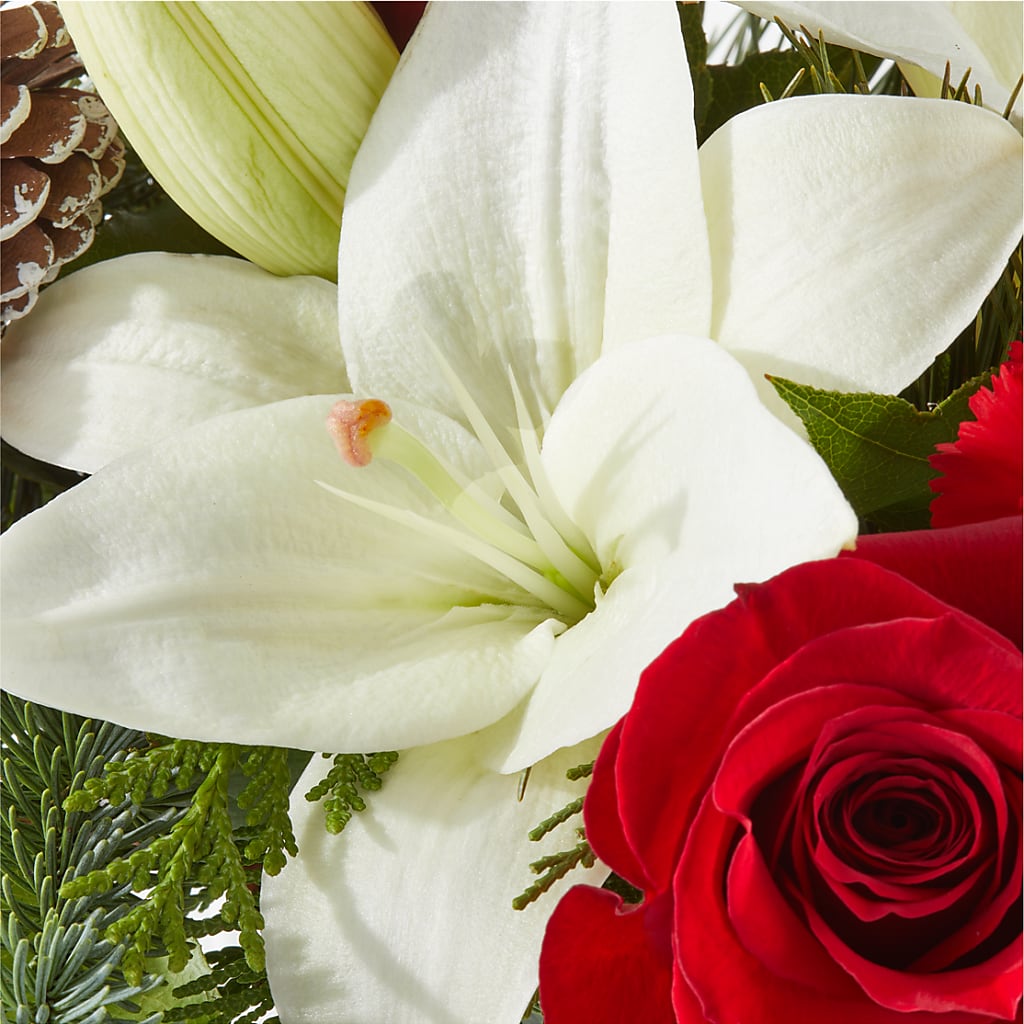 Oh So Jolly Bouquet – ROY'S FLORIST, Winnipeg MB