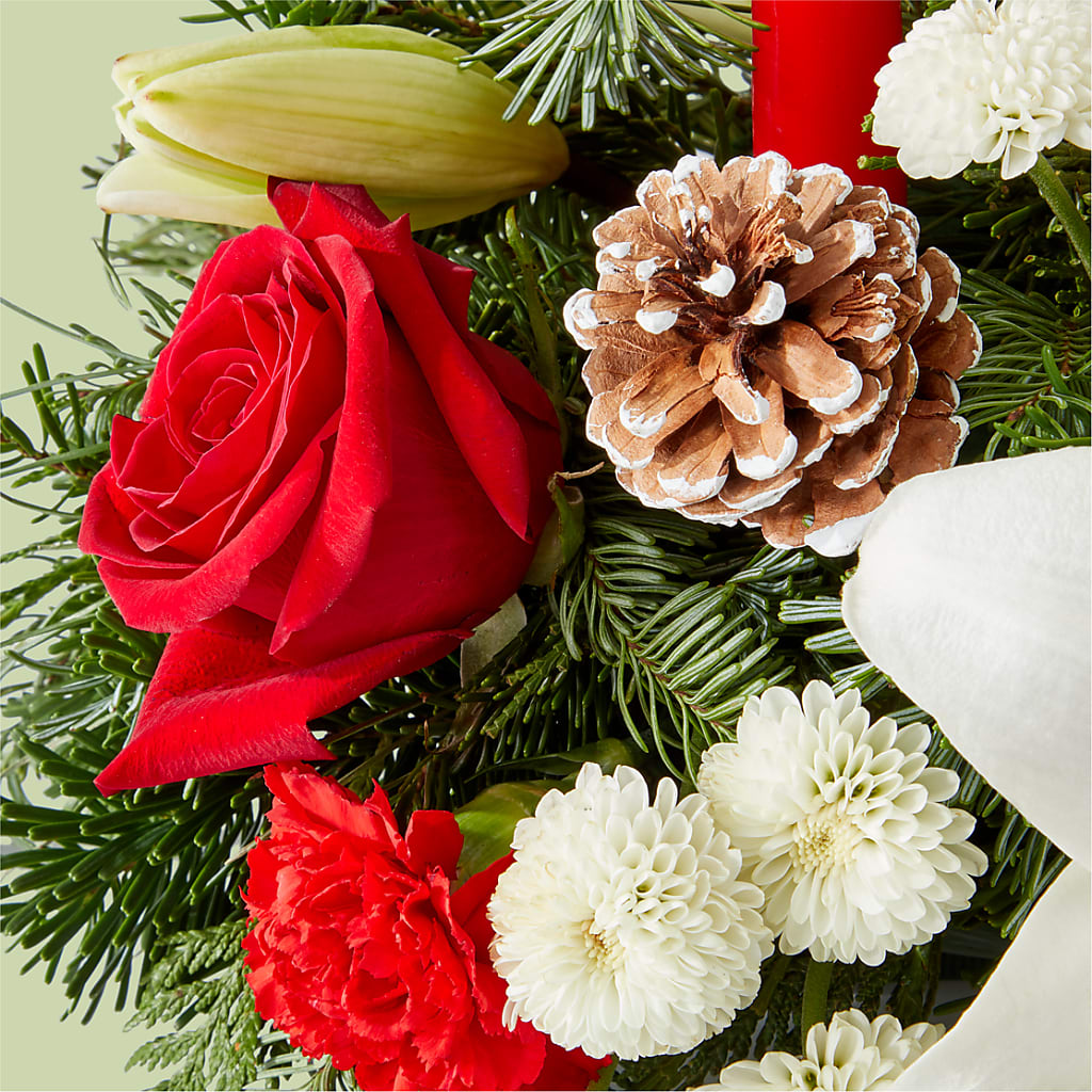 Seasonal Festivities Centerpiece – ROY'S FLORIST, Winnipeg MB
