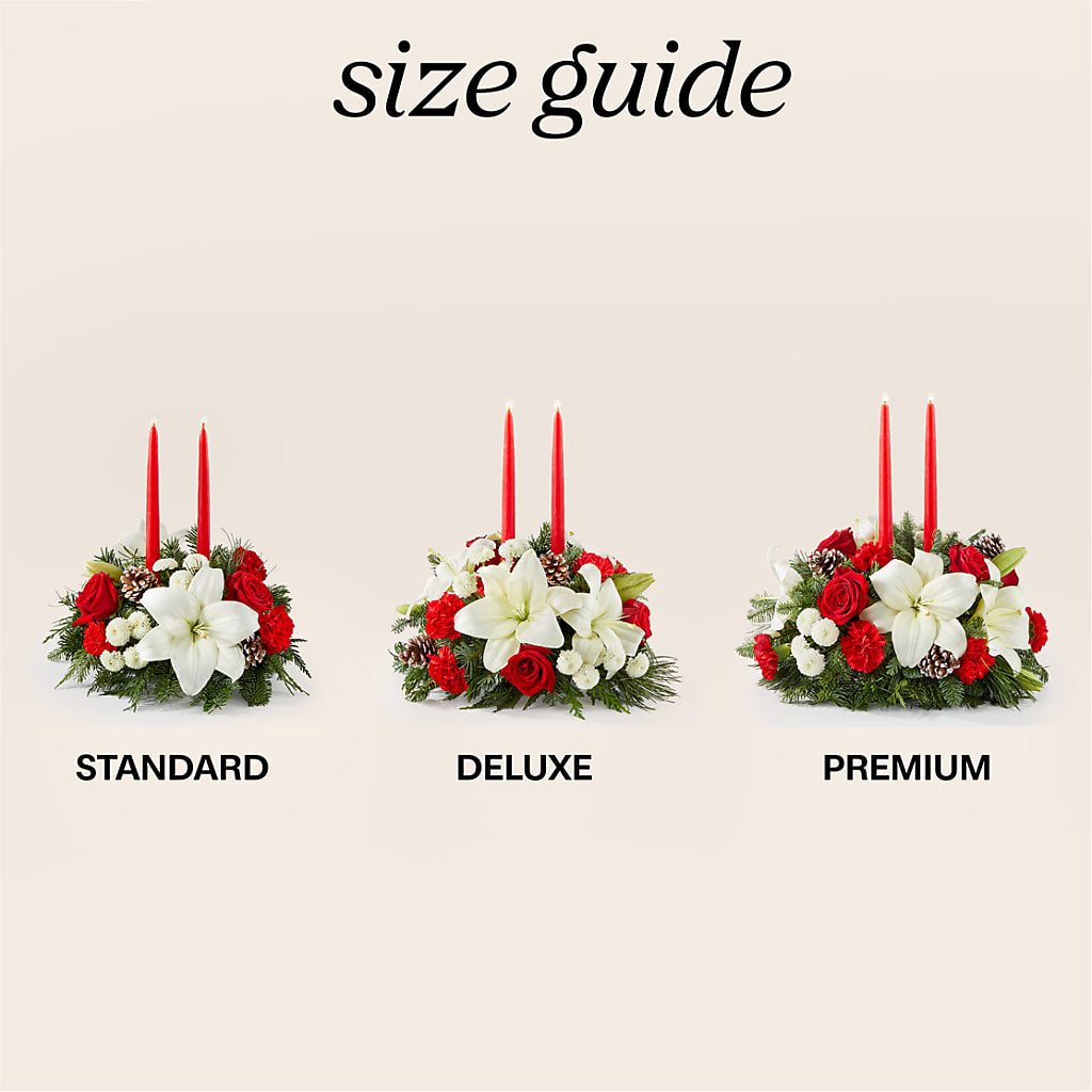 Seasonal Festivities Centerpiece – ROY'S FLORIST, Winnipeg MB
