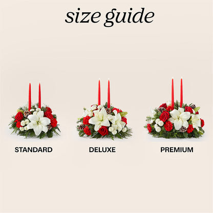 Seasonal Festivities Centerpiece – ROY'S FLORIST, Winnipeg MB