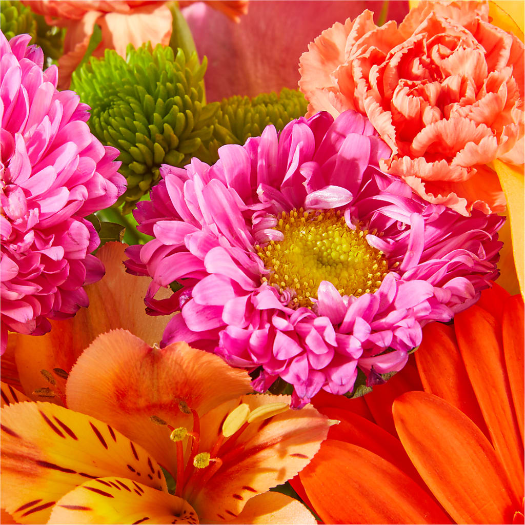 Soiree Bouquet – ROY'S FLORIST, Winnipeg MB