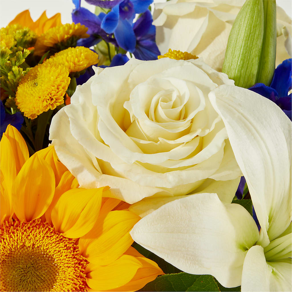 Stargazing Bouquet – ROY'S FLORIST, Winnipeg MB