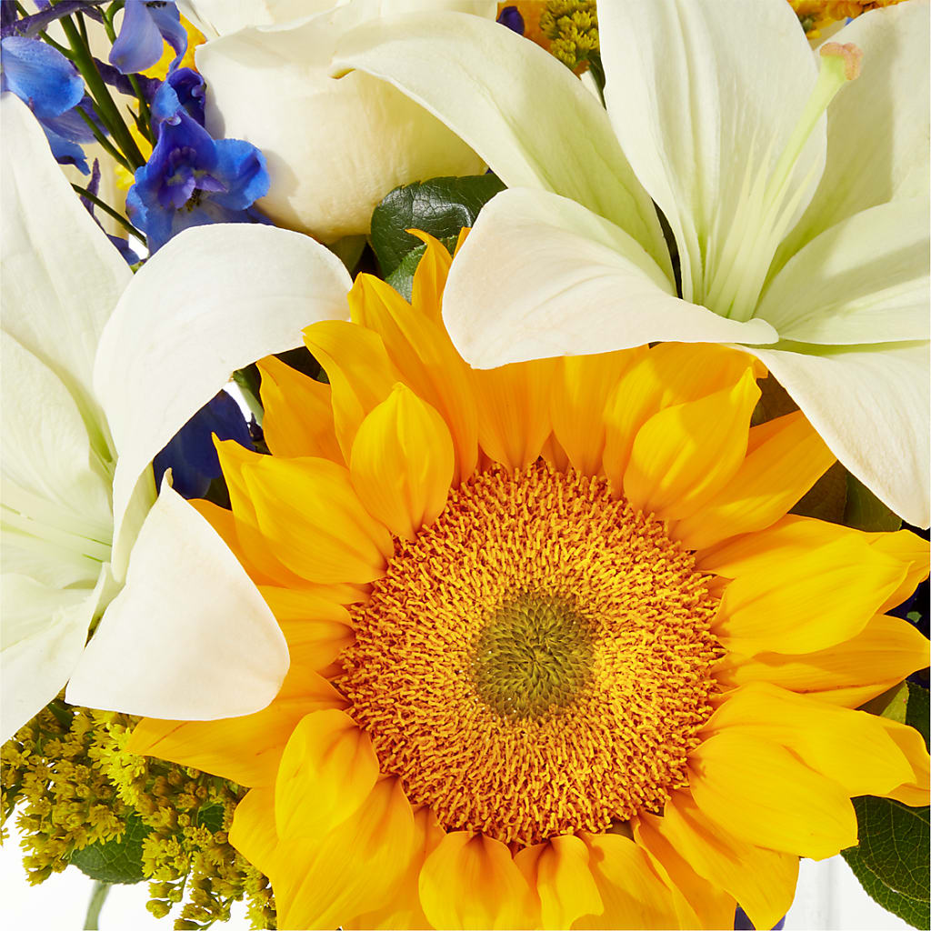 Stargazing Bouquet – ROY'S FLORIST, Winnipeg MB