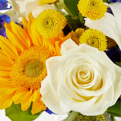 Stargazing Bouquet – ROY'S FLORIST, Winnipeg MB
