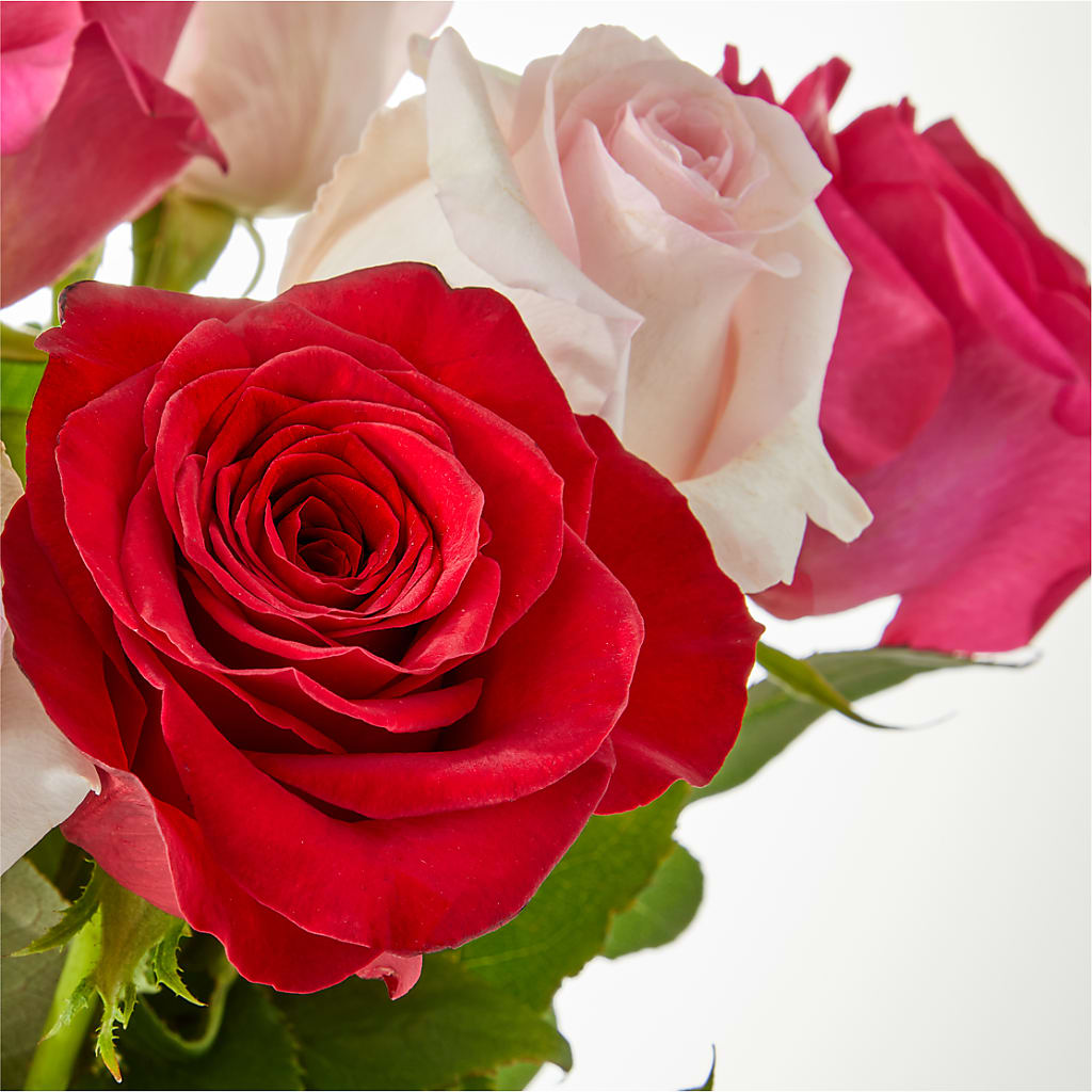 Charming Rose Bouquet – ROY'S FLORIST, Winnipeg MB