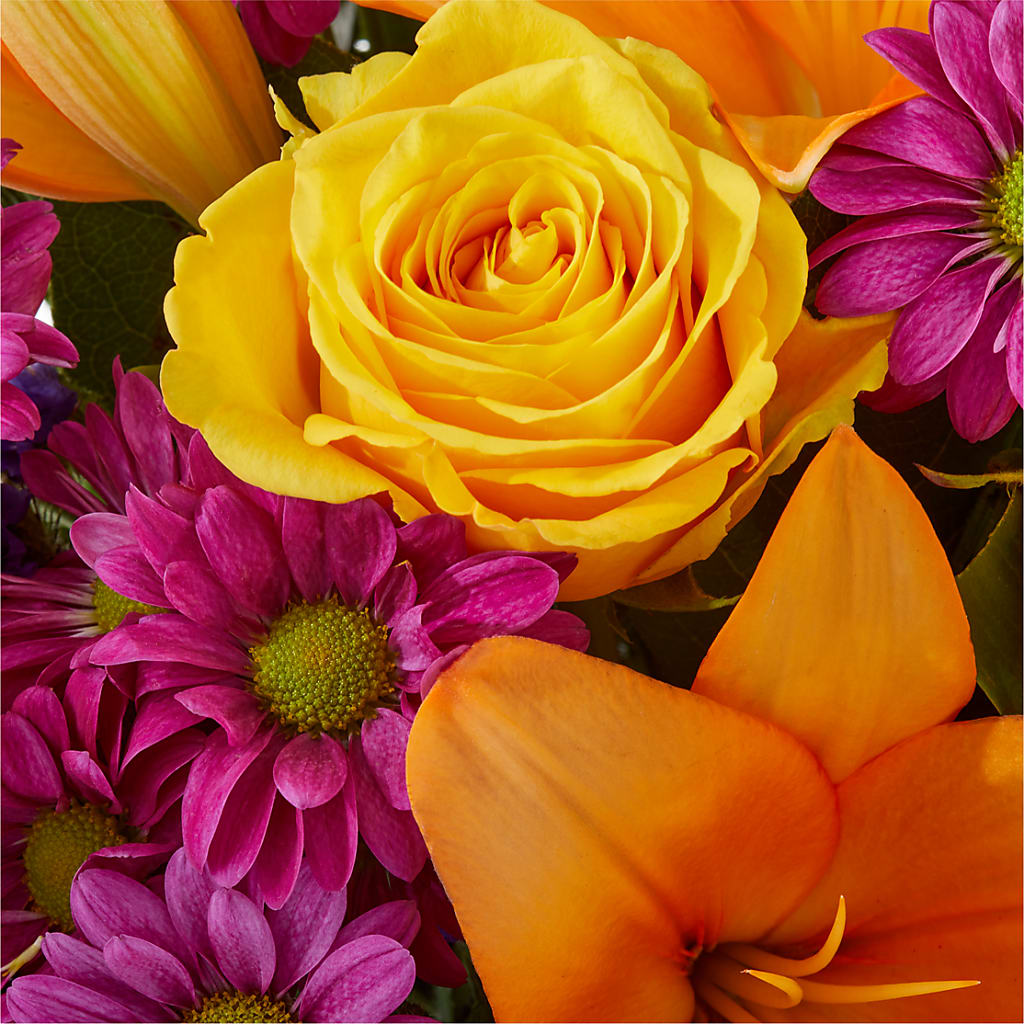 Colorful Visions Bouquet – ROY'S FLORIST, Winnipeg MB
