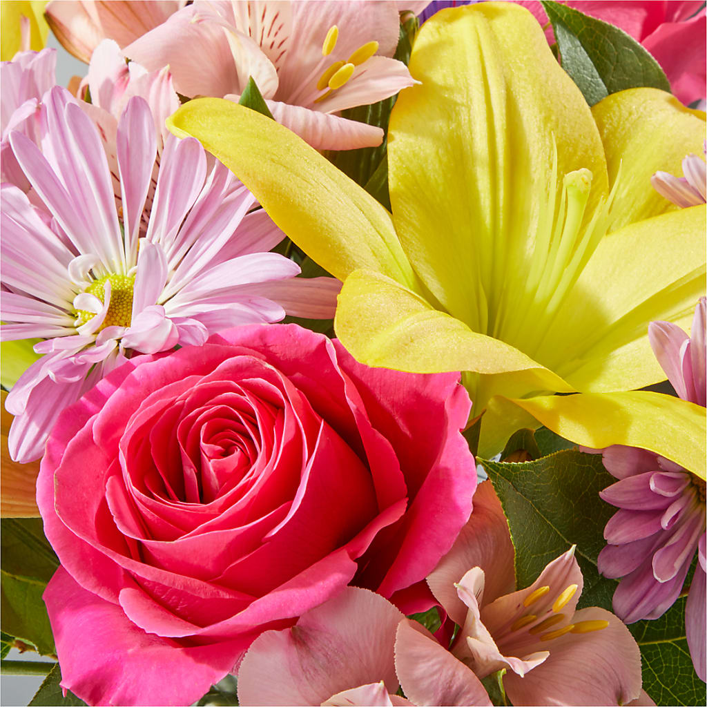 Sprinkles Bouquet – ROY'S FLORIST, Winnipeg MB