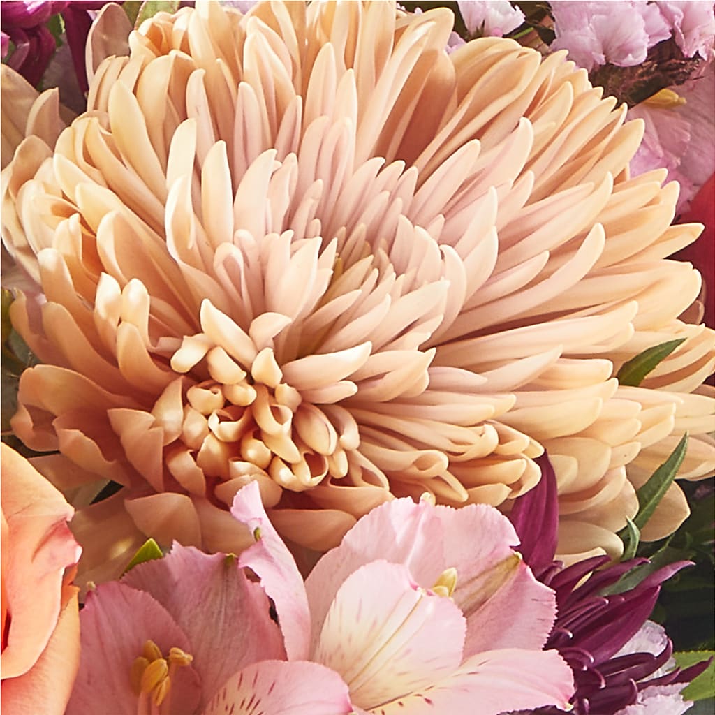 Berry Cobbler Bouquet – ROY'S FLORIST, Winnipeg MB