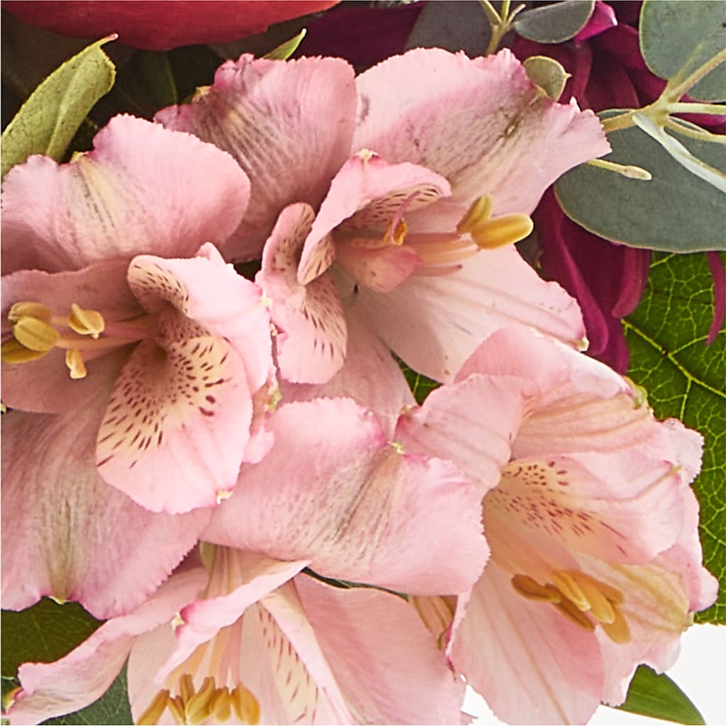 Berry Cobbler Bouquet – ROY'S FLORIST, Winnipeg MB