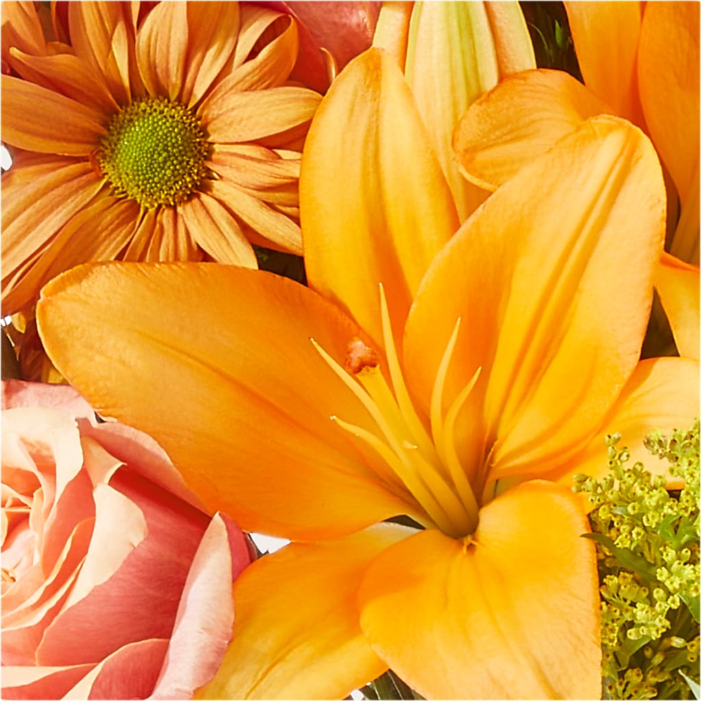 Harvest Hayride Bouquet – ROY'S FLORIST, Winnipeg MB