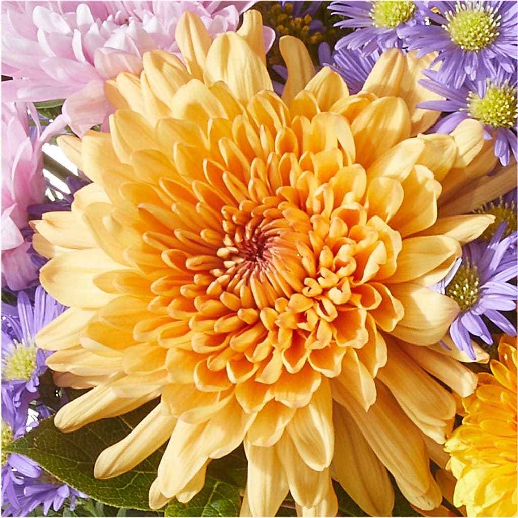 Countryside Bouquet – ROY'S FLORIST, Winnipeg MB