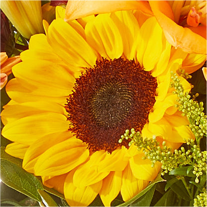 Seasons Change Bouquet – ROY'S FLORIST, Winnipeg MB