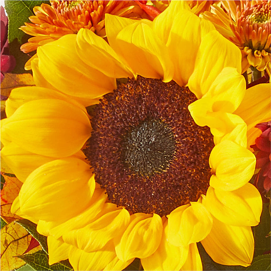 Sunny Side Bouquet – ROY'S FLORIST, Winnipeg MB