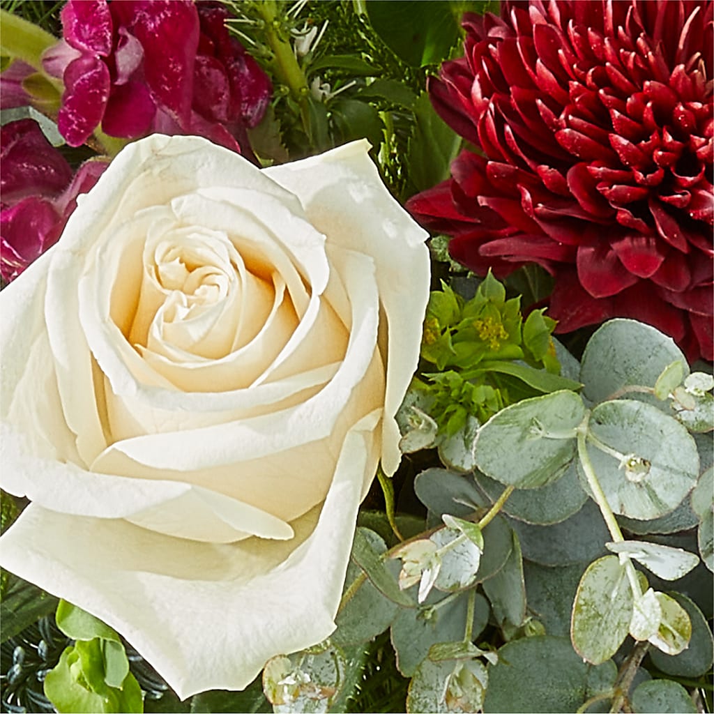 Cranberry Fizz Bouquet – ROY'S FLORIST, Winnipeg MB