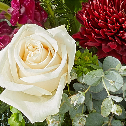 Cranberry Fizz Bouquet – ROY'S FLORIST, Winnipeg MB