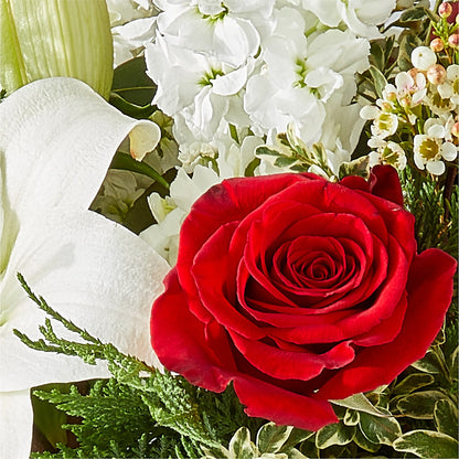 Twinkle Lights Bouquet – ROY'S FLORIST, Winnipeg MB