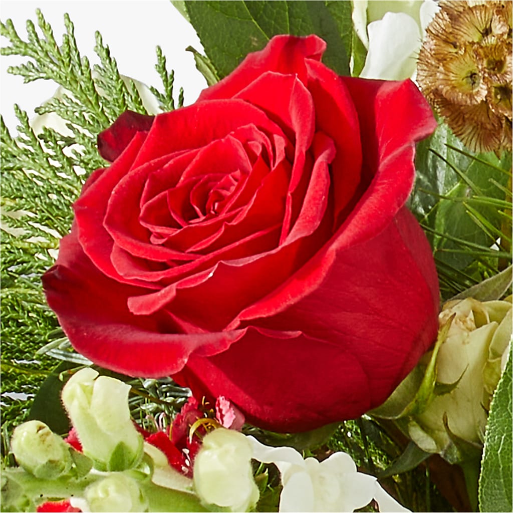 Deck the Halls Bouquet – ROY'S FLORIST, Winnipeg MB