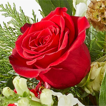 Deck the Halls Bouquet – ROY'S FLORIST, Winnipeg MB