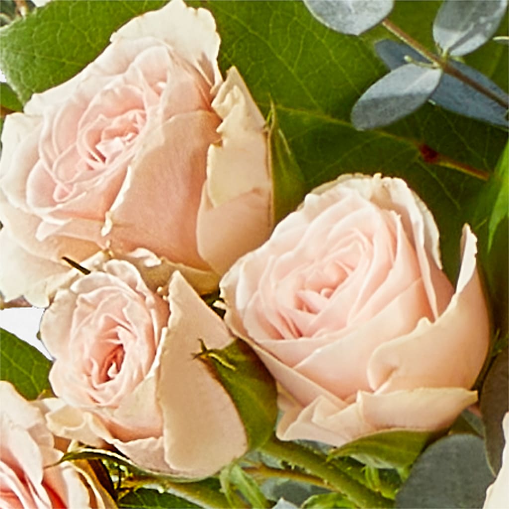 Inspired Bouquet – ROY'S FLORIST, Winnipeg MB