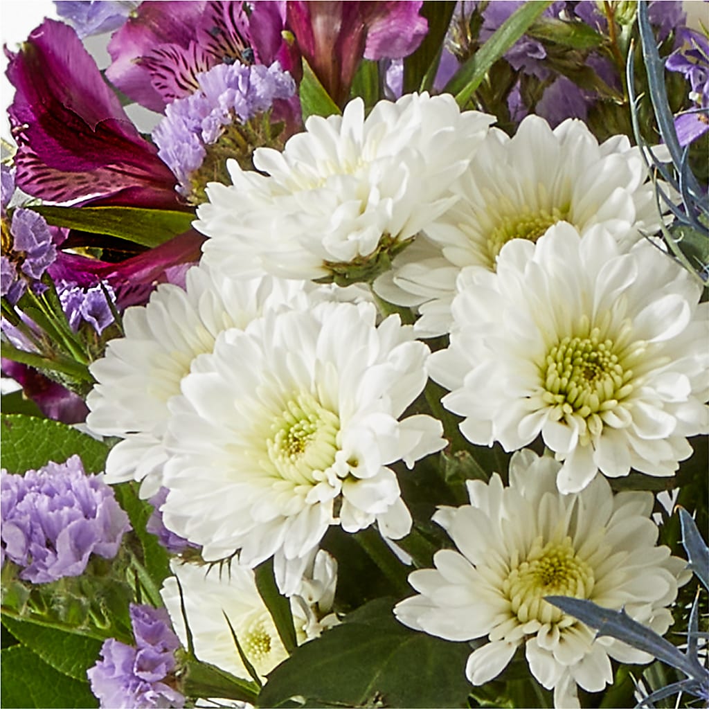 Shooting Star Bouquet – ROY'S FLORIST, Winnipeg MB