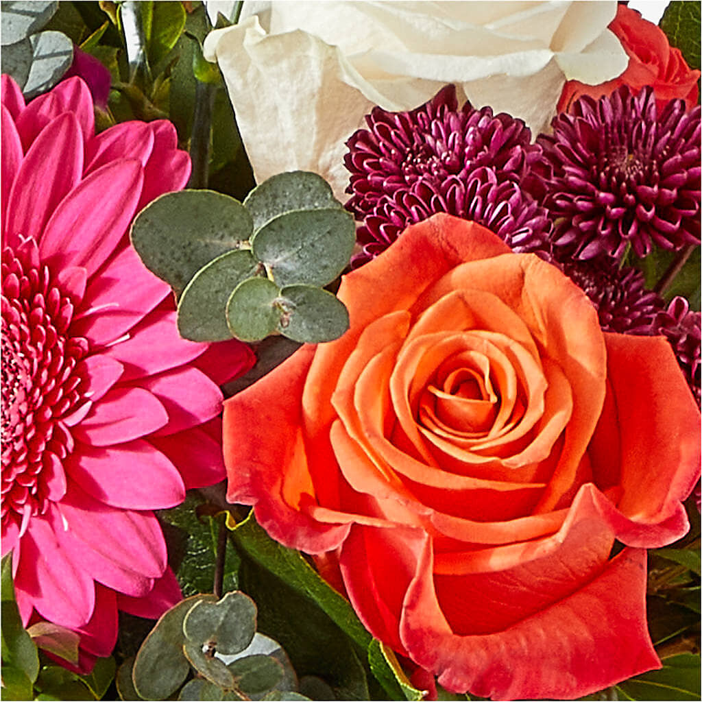 Smell the Roses Bouquet – ROY'S FLORIST, Winnipeg MB