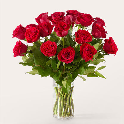 The One Red Rose Bouquet – ROY'S FLORIST, Winnipeg MB