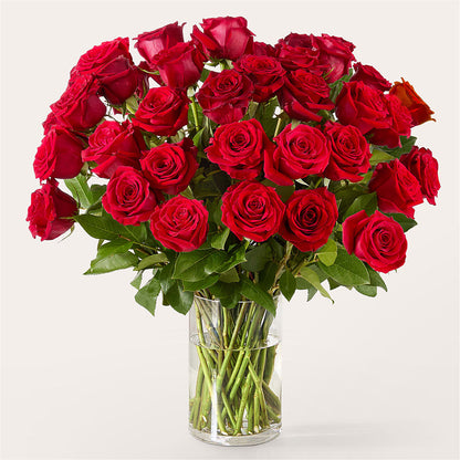 The One Red Rose Bouquet – ROY'S FLORIST, Winnipeg MB
