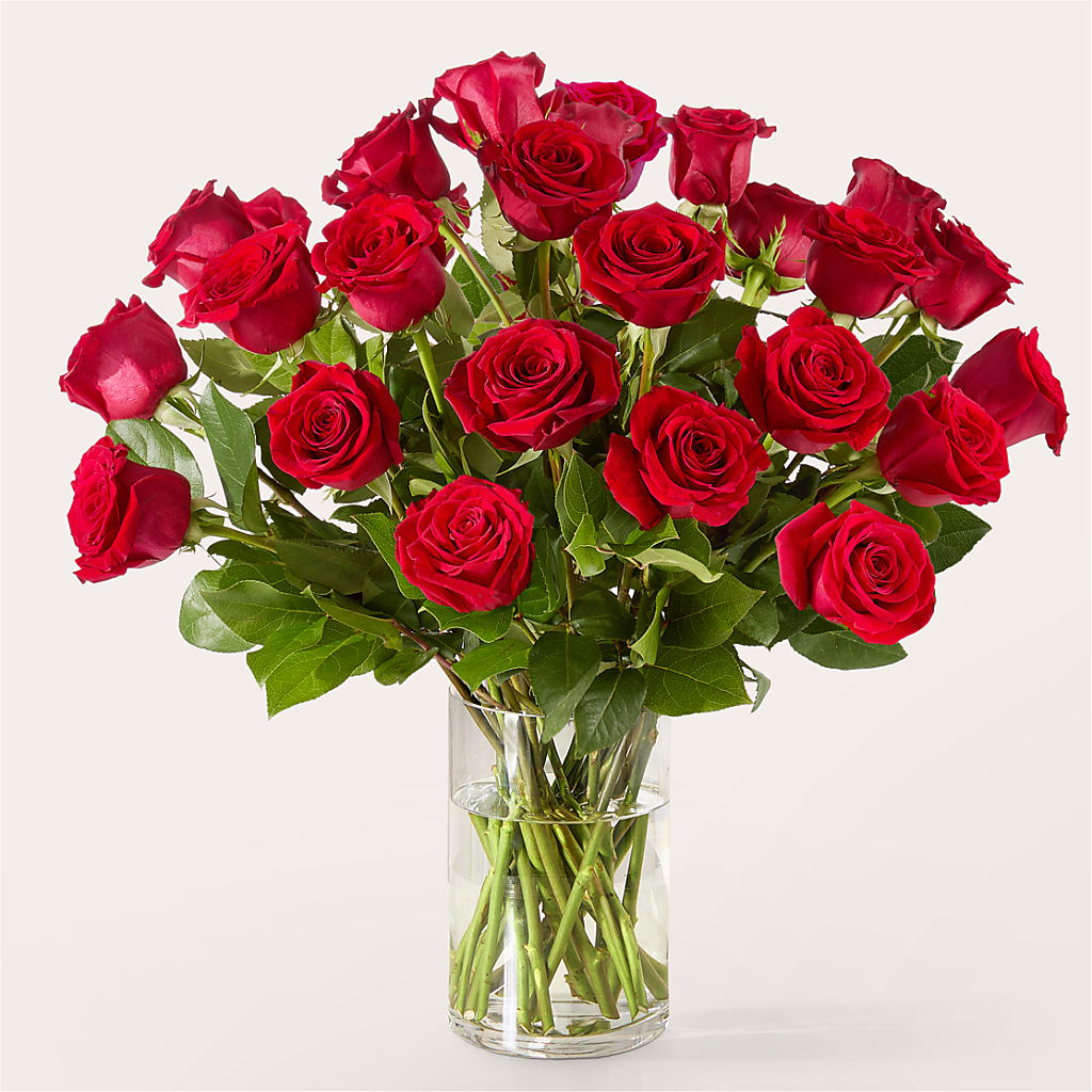 The One Red Rose Bouquet – ROY'S FLORIST, Winnipeg MB