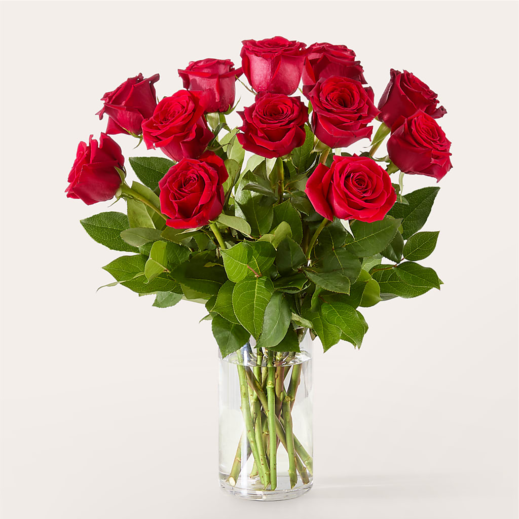 The One Red Rose Bouquet – ROY'S FLORIST, Winnipeg MB