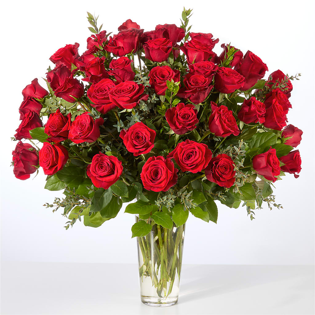 Forever Yours Fifty Stem Red Rose Bouquet – ROY'S FLORIST, Winnipeg MB